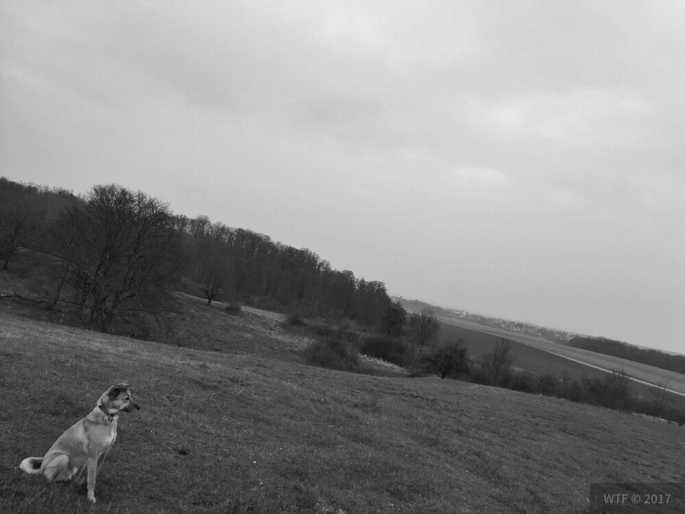 Naturschutzgebiet Mastberg