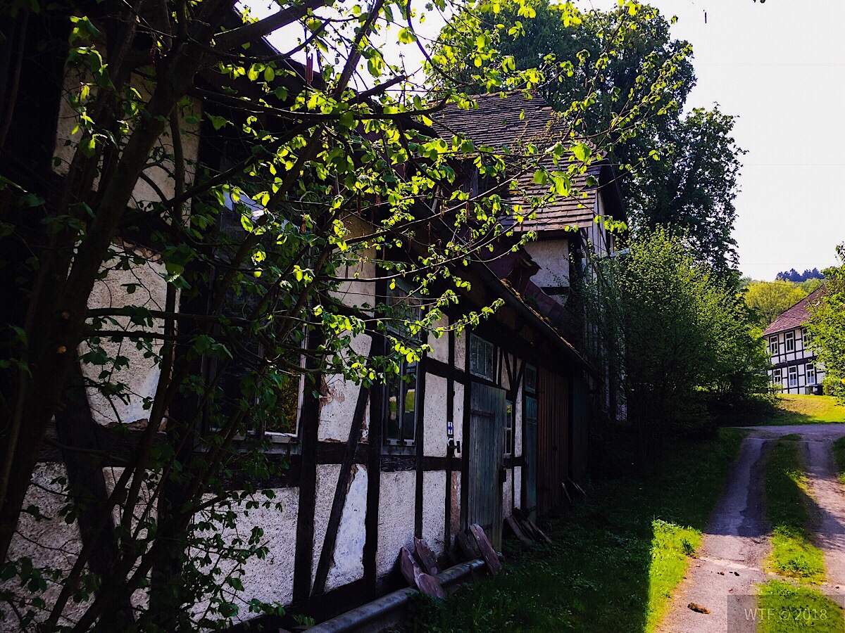 Wanderung Bodenwerder 3