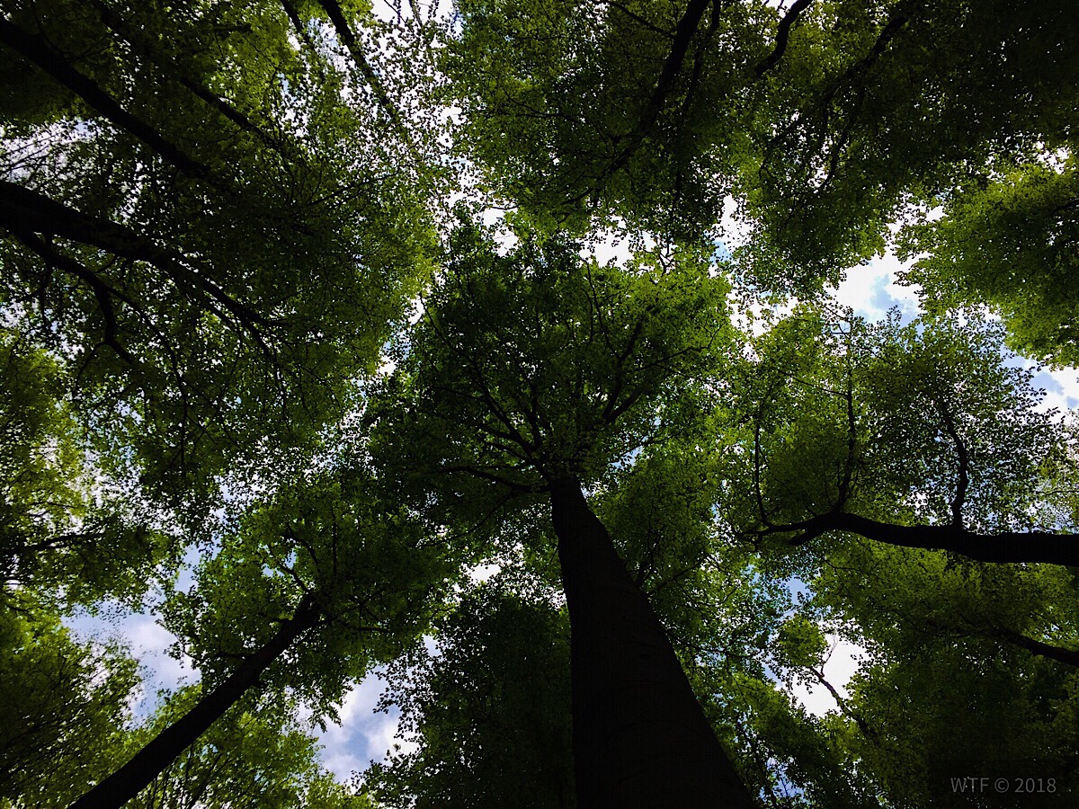 Wanderung Bodenwerder