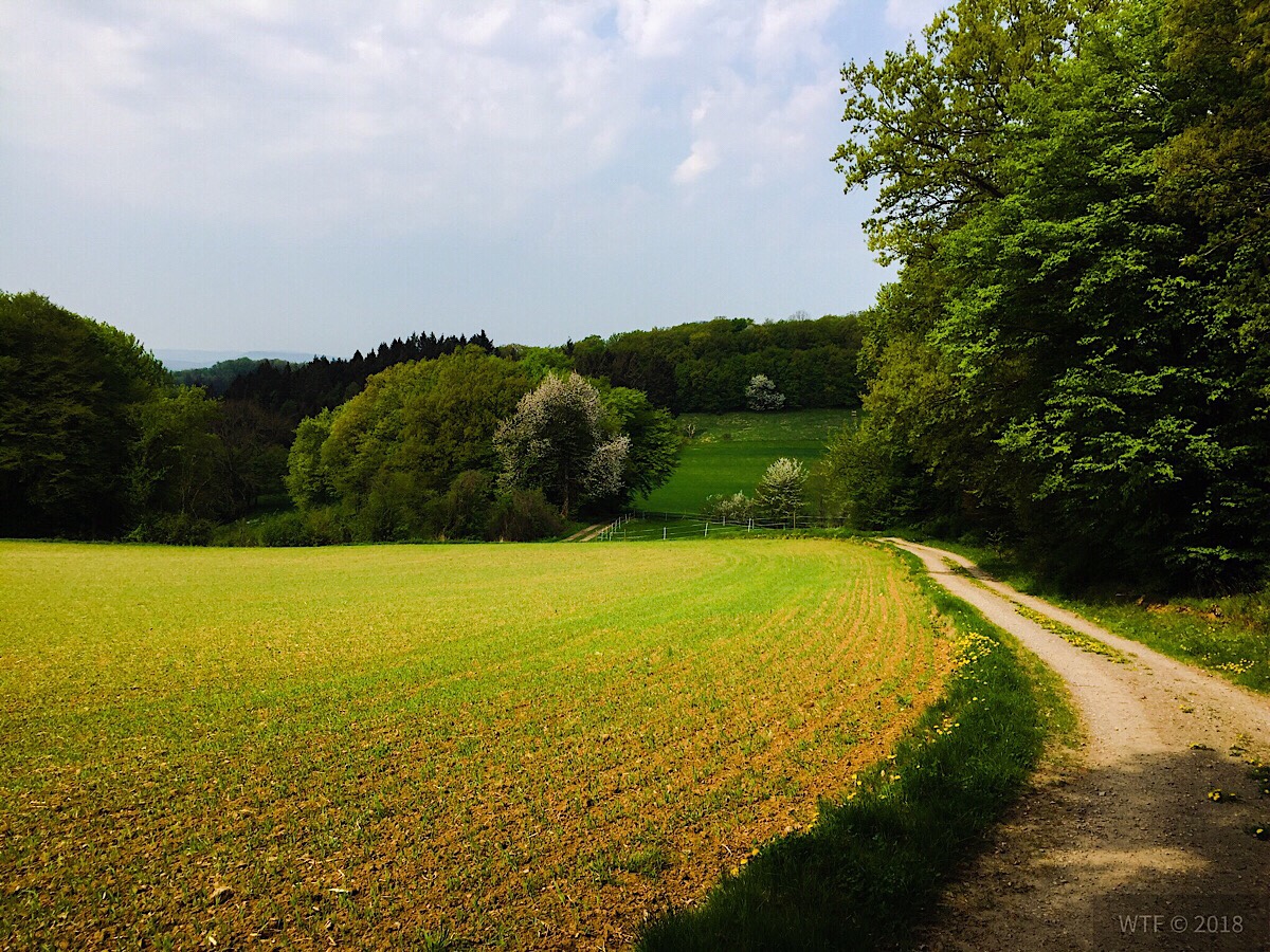 Wanderung Bodenwerder