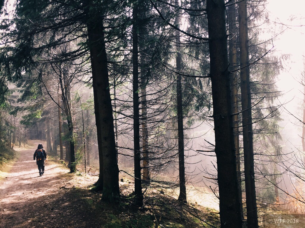 Ilmenau und Thüringer Wald