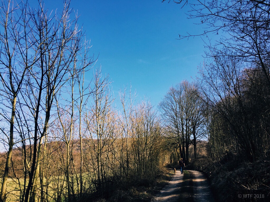 Eichsfeld Thüringen