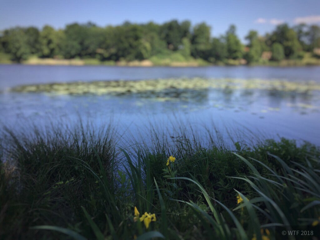 Petzower See