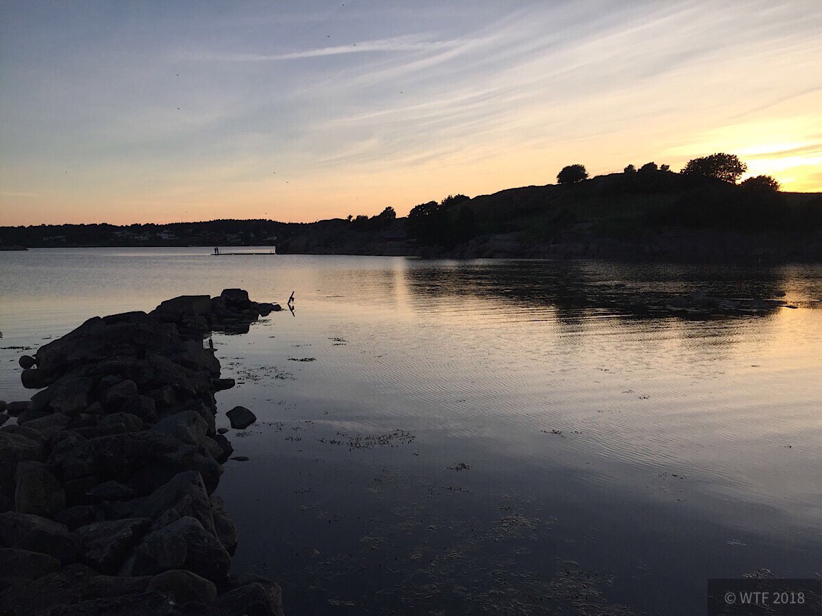  Hanhalsholme 